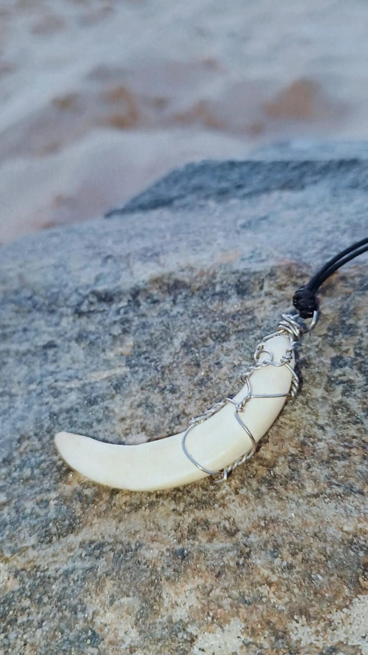 Colar dente de Javali