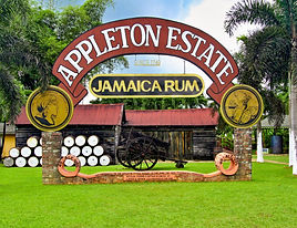 appleton-estate-jamaica.jpg