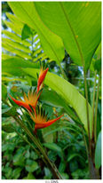 DSC00439_DxO.jpg