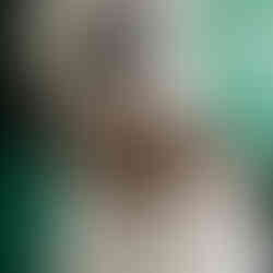 Back view of bride wearing a lace mantilla veil with floral embroidery — full lace veil celebrating romantic bridal fashion revival.