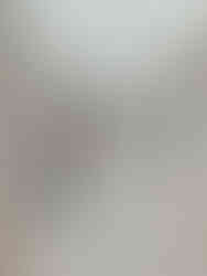 How to wear your wedding veil demonstration — Rebecca Anne positioning a cathedral-length bridal veil for perfect placement and seamless fall down the back of the gown.