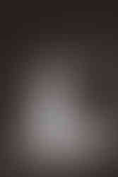 Bride wearing cathedral-length floral veil with 3D organza petals — floral wedding veil trend for 2026.