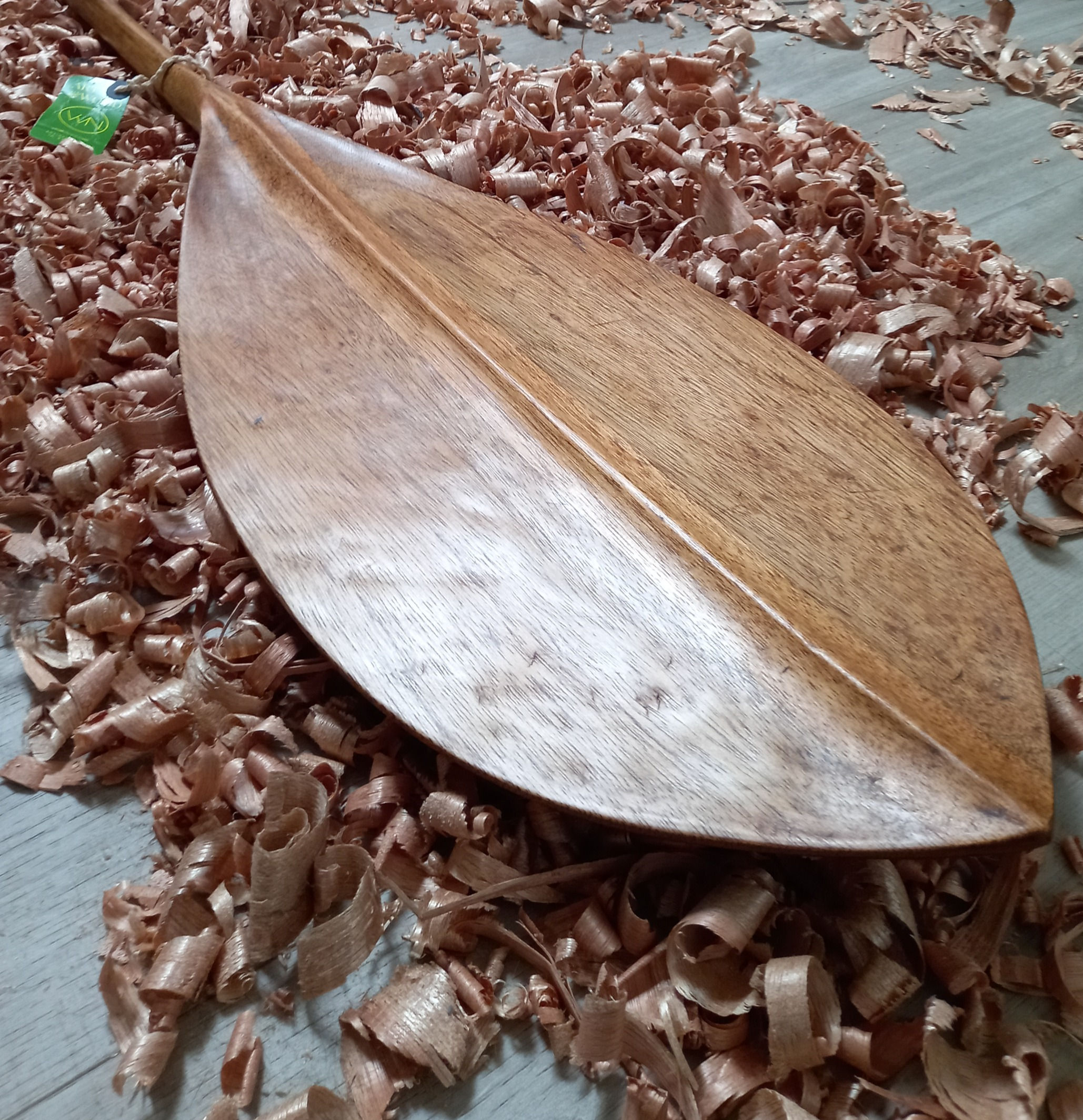 Native Brazilian Caiçara