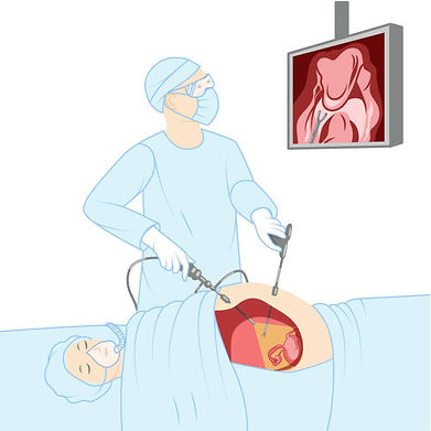 istockphoto-1411068374-612x612.jpg