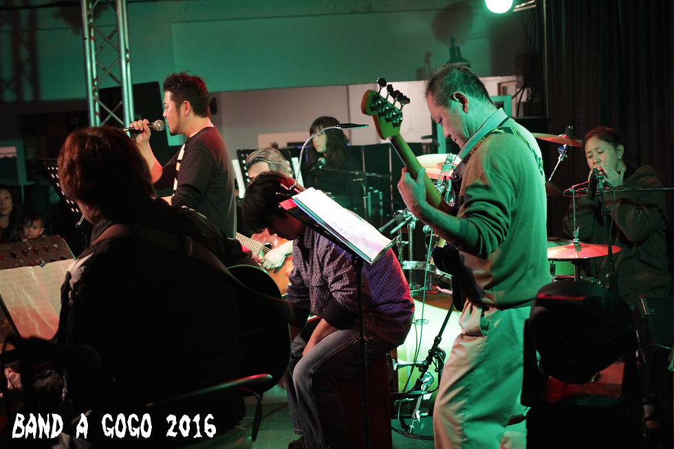 THE OLDMAN BROTHERS BAND