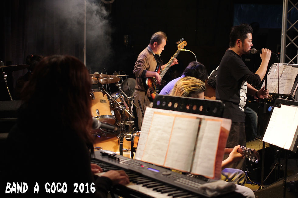 THE OLDMAN BROTHERS BAND