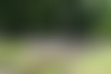 Besuch des ehemaligen Konzentrationslagers Struthof