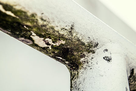 Mold in House Requiring Mold Inspection, tested, identification in Foley, Gulf Shores, Orange Beach AL