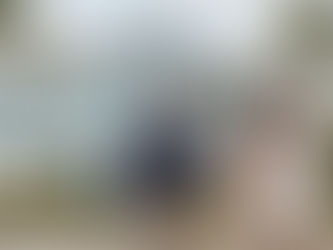 gulf coast home inspection