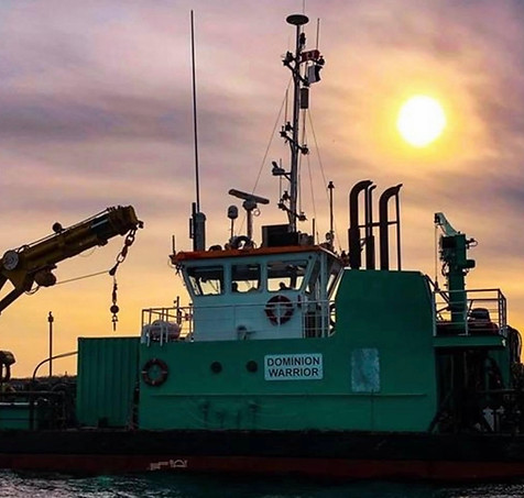 Marine and Specialty Insurance Law