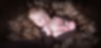 slider2.jpg