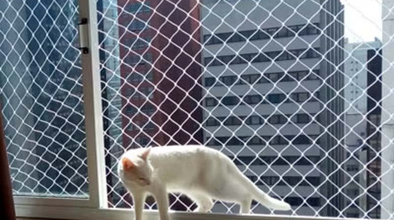 redes de proteção em bh