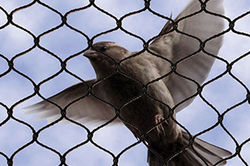 BH Redes Proteção MG