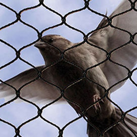 Telas proteção contra pombos