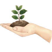 Hand Grow.png