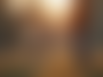 Transform Your Dog's Behavior with Amber's Training Support