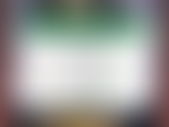 Namie conquista 7º lugar geral na Copa São Paulo de Judô 2026 com 9 medalhas e delegação de 24 atletas