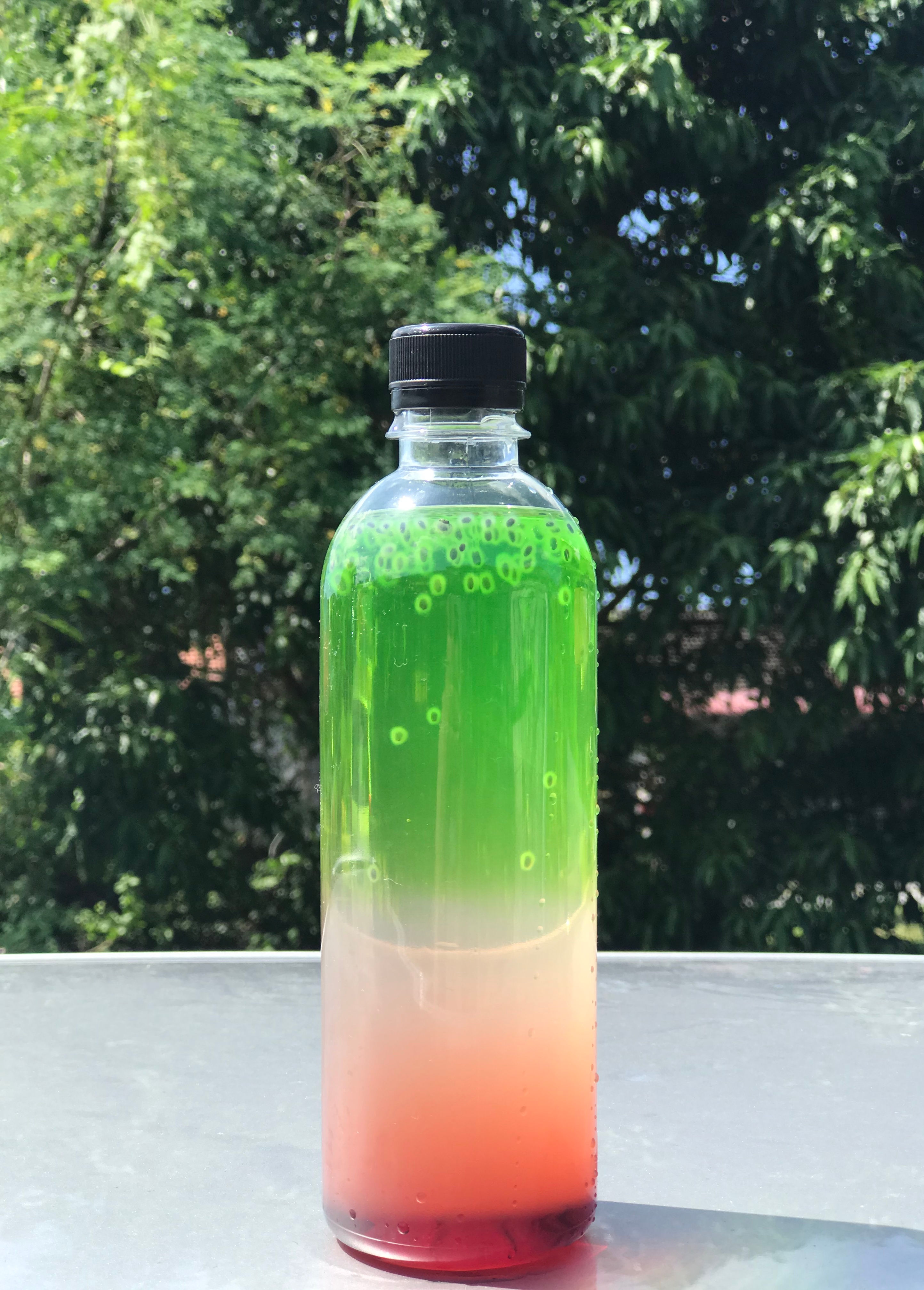 Lychee Rose Green