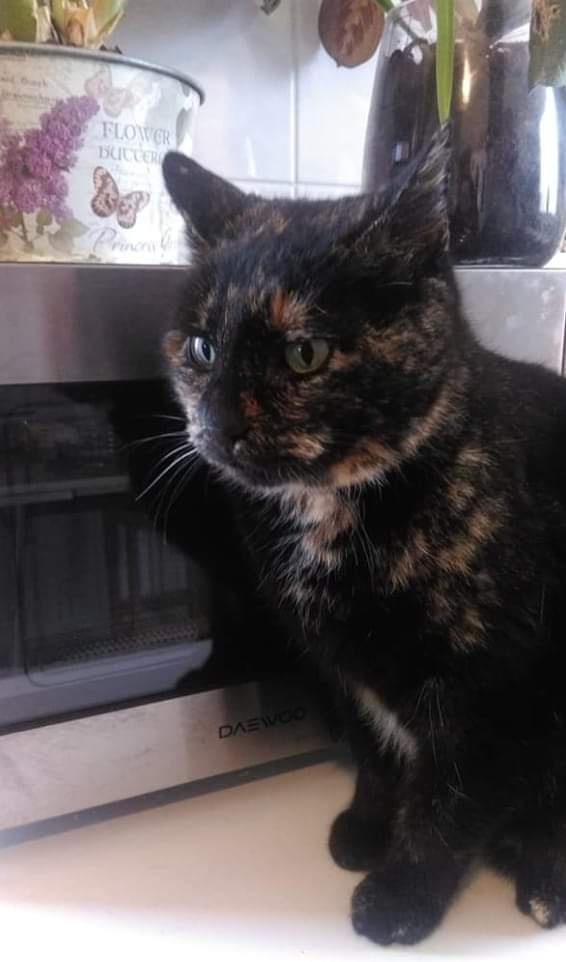 Louna