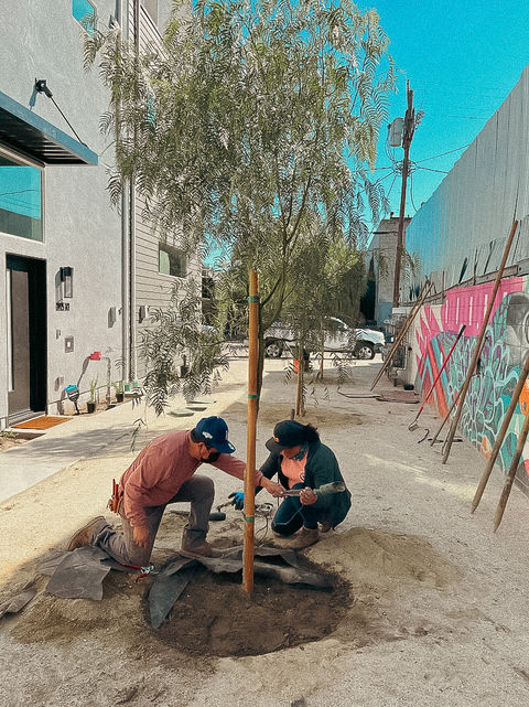 Landscaping Lawn Care Service Los Angeles Southern California