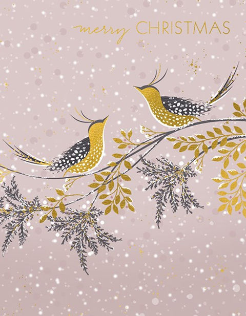 Elegant boxed christmas cards clearance