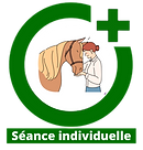 séance individuelle.png