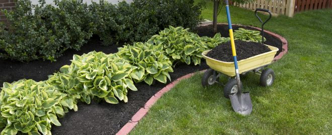 KC-Myths-About-Mulch-5450a76d058e0fcd492