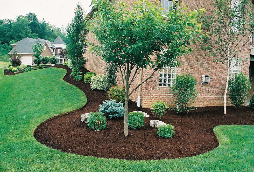 mulch-5.jpg