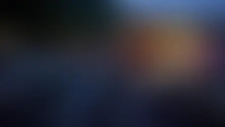 ‘We didn’t know!’ Dolphin slaughter ignorance revealed 