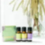 Thumbnail: Calm & Destress Essential Oil Trio