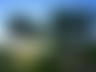 View of the Tasting Room at Fontanella Winery