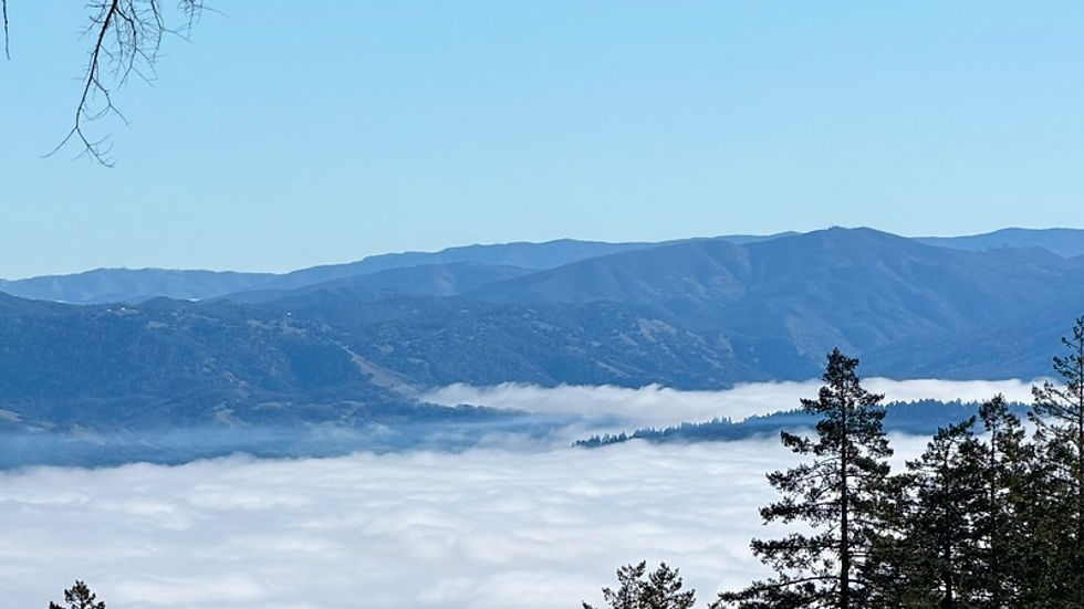 The fog of Napa Valley from the Spring Mountain AVA 