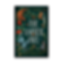 JUNE BOOK CLUB: JULIET MARILLIER’S ‘THE AMBER OWL’