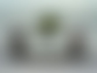 PLAYLIST: CURATED BY PHANTOMS