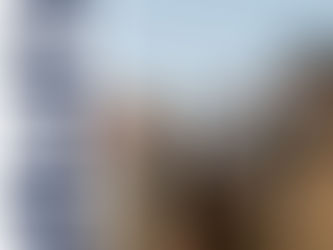 PLAYLIST: CURATED BY PARK RD