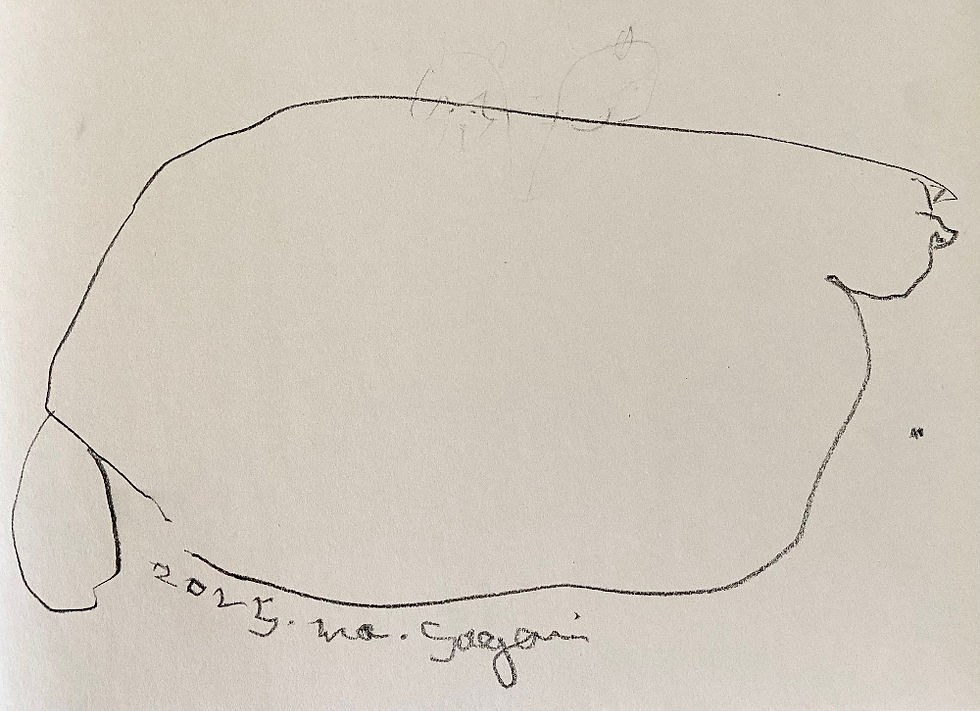 猫とコーヒー豆