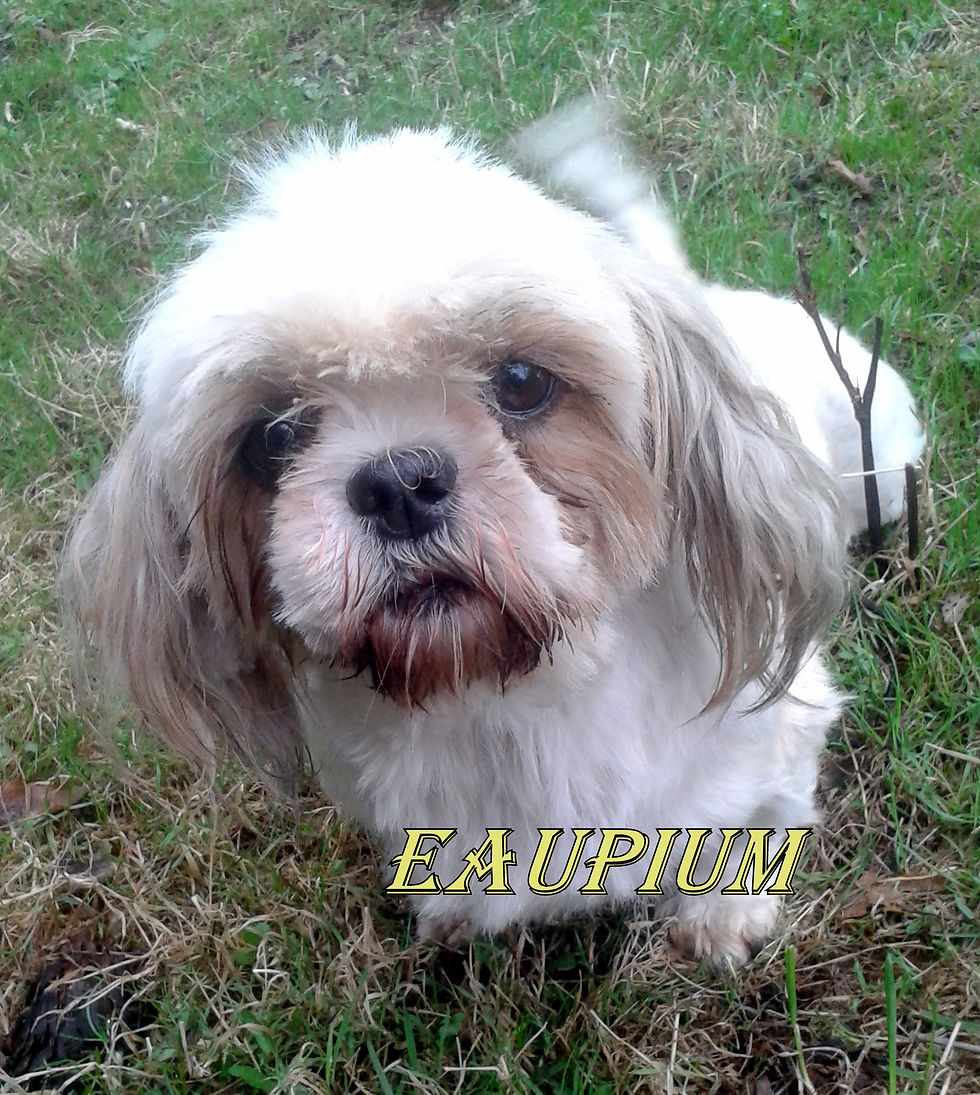 EAUPIUM