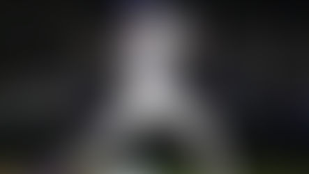 Liam Peterson dominates as Gators take down Air Force, 7-0