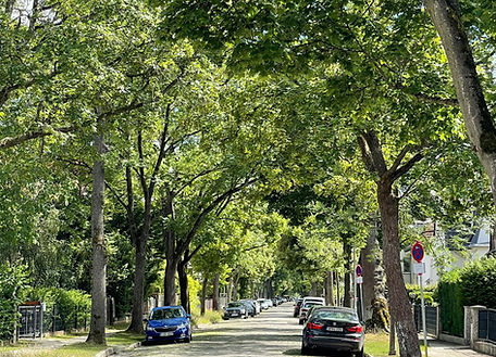 Klavierunterricht für Kinder Berlin Berlin-Tempelhof-Schöneberg