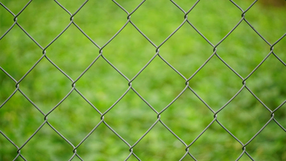 How to Choose the Right Farm Fencing for Livestock Safety