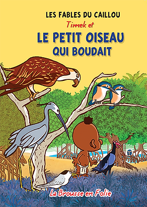 couv_boude.png