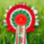 Cymru Champion