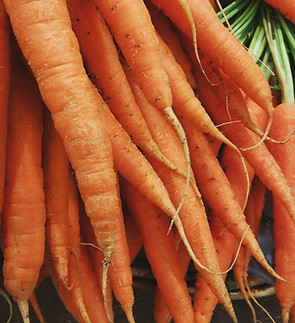 Carrots