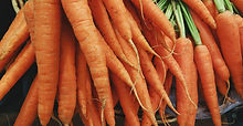 carottes