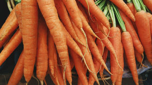 Opinion: Methods to reduce heavy metal contamination in foods