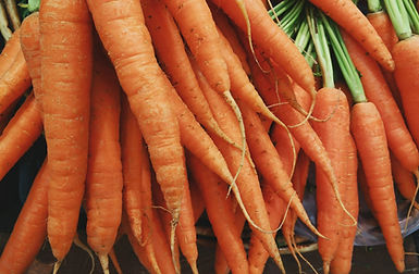 carottes