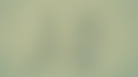 When the hope for a baby girl doesnโt go away