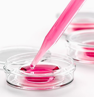 Pictures from Canva (2)_edited_edited.pn