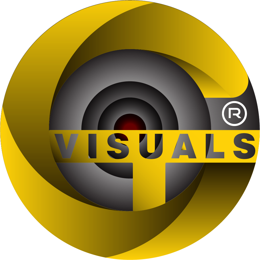 GT VISUALS brand Logo