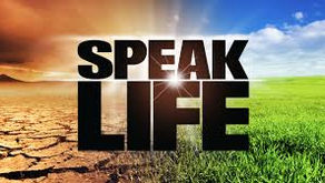 The Power of your words! why you should always speak life!!!